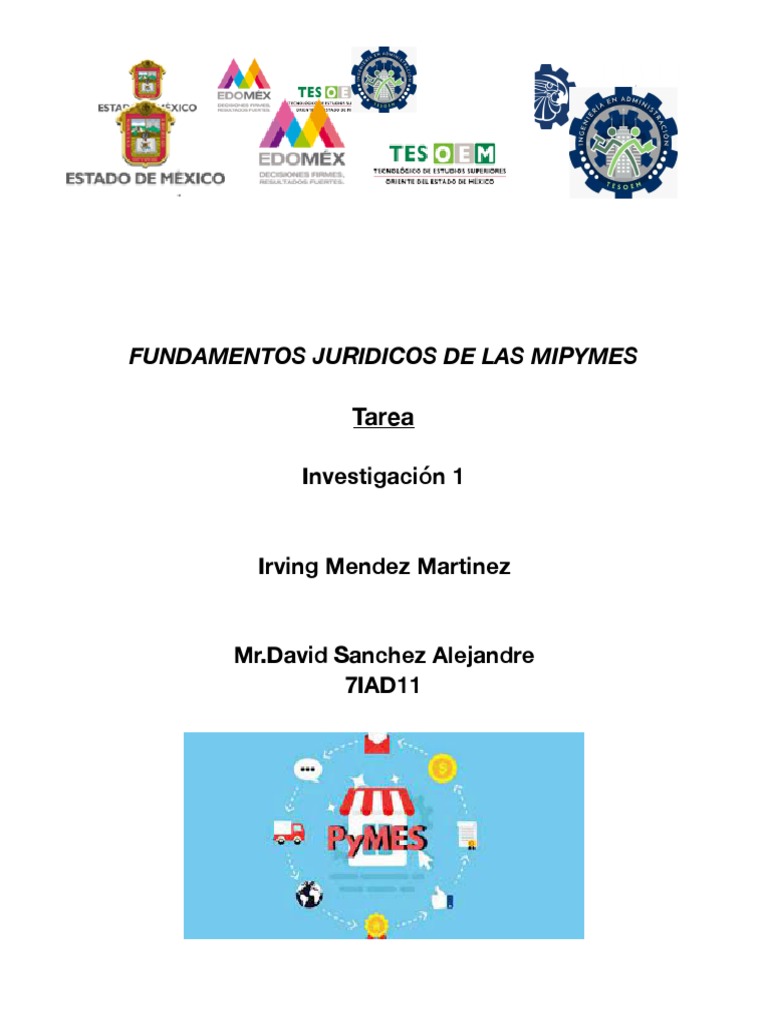 Origen y desarrollo de las MIPYMES | PDF | Pequeñas y medianas empresas ...