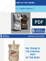 The Trunk - Anatomy of the Central Part of the Body