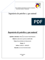 Ingeniería de Petróleo y Gas Natural