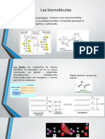 BIOQ I Proteinas