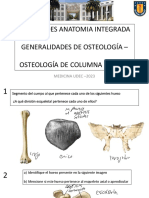 Actividades Anatomia Integrada Generalidades de Osteología - Osteología de Columna Y Tórax