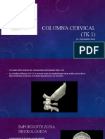 columna cervical