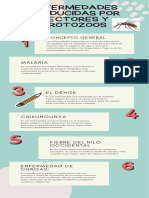 Enfermedades Producidas Por Vectores y Protozoos