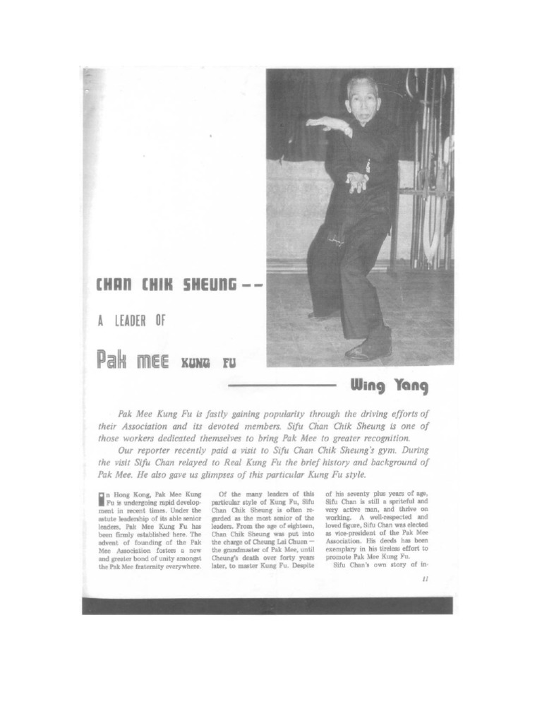 2 A Leader of Pak Mei Kung Fu PDF