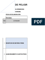 Matriz Peligros y Riegos 