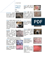Características Clínicas Lesões Primárias X Secundárias: Vesícula