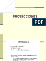 Presentacion Protecciones (Nuevo)PDF (1)