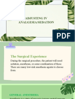 Adjusting Iv Analgesia/Sedation