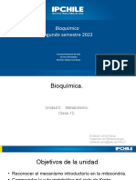 Bioquímica: Segundo Semestre 2022