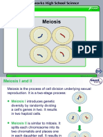 Meiosis Phases (2021 - 12 - 19 23 - 29 - 01 UTC)