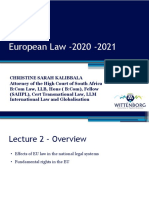 Effects of EU Law On National Systems and Fundmental Rights in The EU - Final