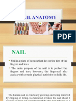 NAIL ANATOMY GUIDE