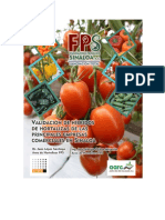 Validación de híbridos de tomate, chile y pimiento en Sinaloa 2017-2018