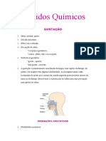 Sentidos Químicos: Gustação