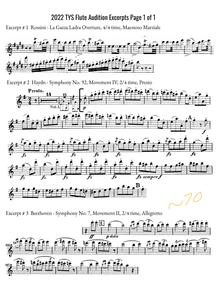 2022TYSFluteAuditionExcerpts PDF