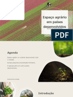 Espaço Agrário em Países Desenvolvidos: Nome Do Apresentador