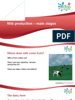 Milk Production - Main Stages