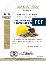 Certificado - Epp-8