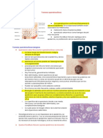 Tumores Queratinocíticos