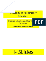 Histological Slides of Respiratory Diseases