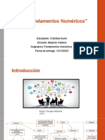 Mapa Conceptual CristobalAuriol