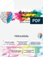 Hidrocefalia Neonatal