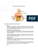 Tugas Sistem Pencernaan Manusia