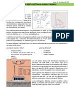 Clase 2 Metabolismo Proteíco