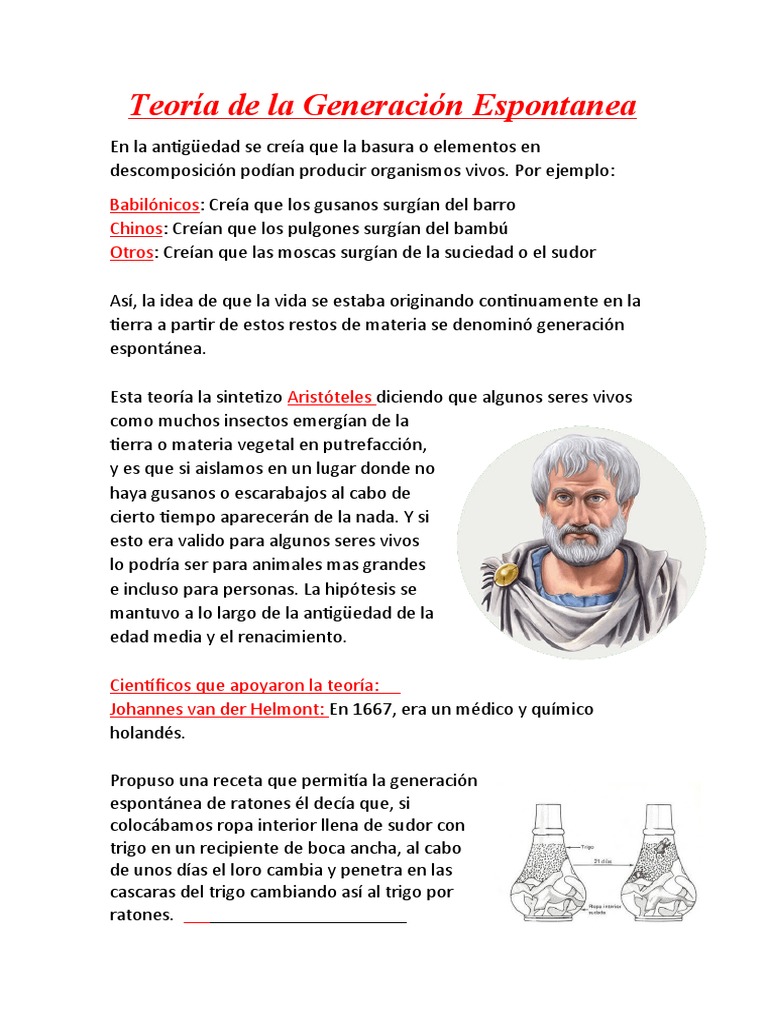 Teoría de La Generación Espontanea PDF Naturaleza
