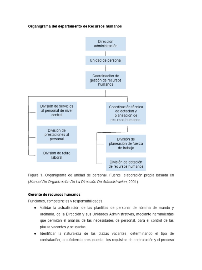 Organigrama del Departamento de RRHH | PDF | Gestión de recursos humanos