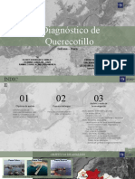 Diagnóstico de Querecotillo: Sullana - Piura