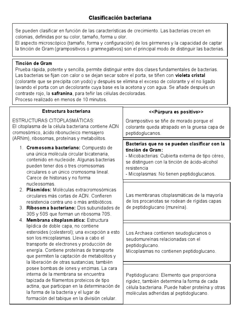 Clasificación y Estructura Bacteriana | PDF | Las bacterias | Bacterias ...