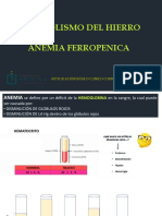 Metabolismo de Fe - Anemia Ferropenica 2022