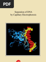 Capillary Electrophoresis