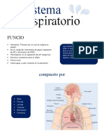 2P - Anatomía y Fisiología