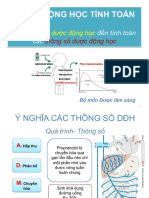 Dược Động Học Tính Toán