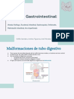 Patología Gastrointestinal - Neonatología