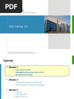 SAS Training - 101