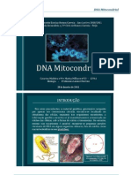 ADN Mitocondrial