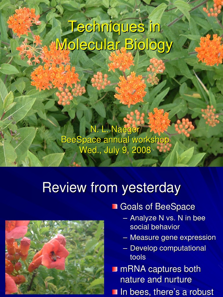 Molecular Biology Techniques Overview | PDF | Wellness | Science ...