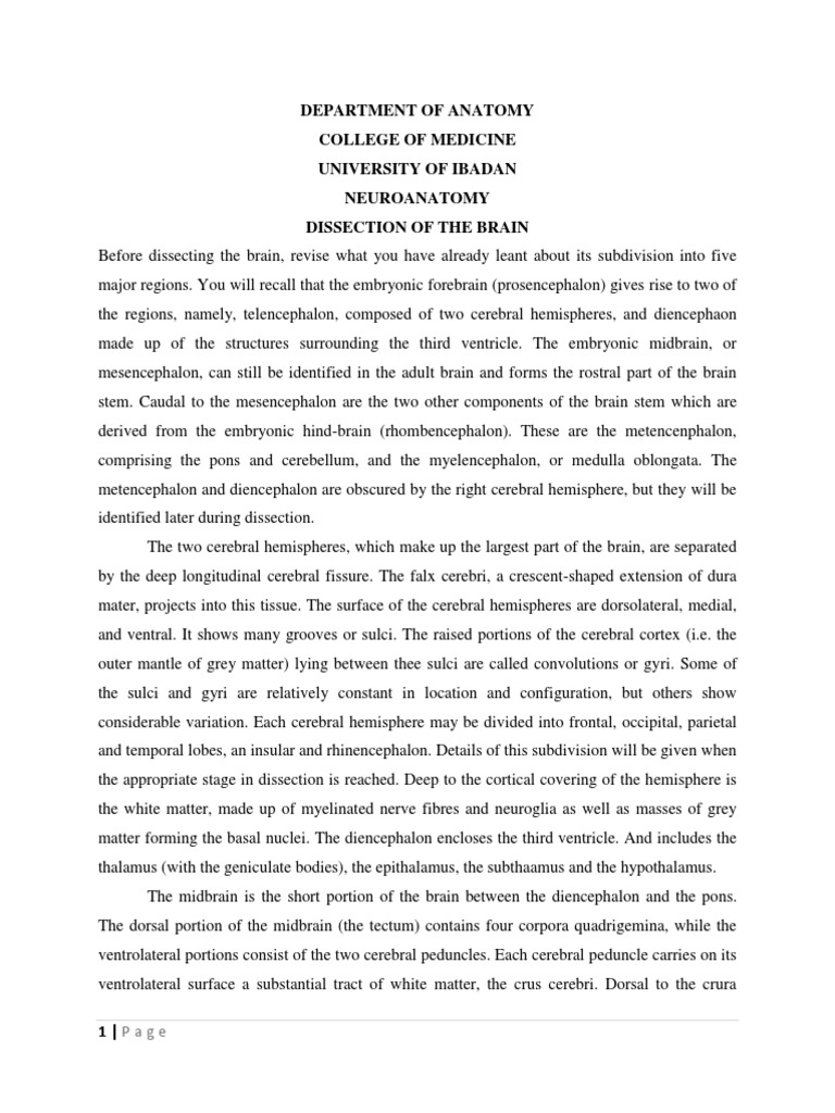 Department of Anatomy College of Medicine University of Ibadan ...