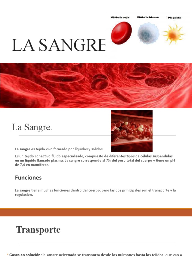 La Composición Y Funciones De La Sangre Pdf Sangre Leucocito
