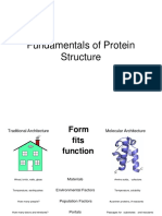 Fundamentals of Protein Structure