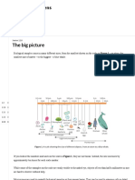 The Big Picture: Size of Specimens