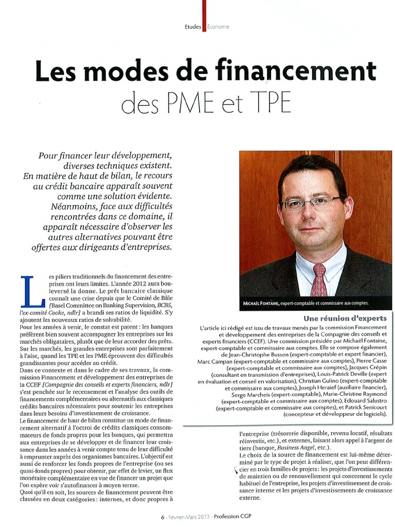 Les Modes de Financement Des PME Et TPE Profession CGP | PDF