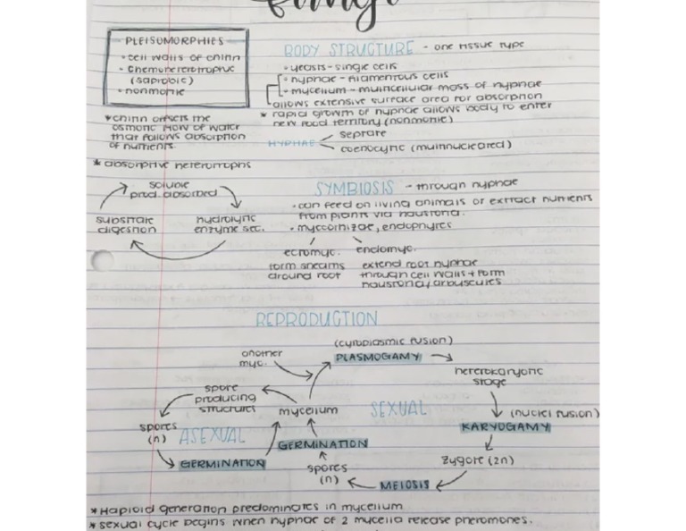 fungi-summary-pdf