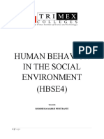 HBSE4 Social Environment Synthesis