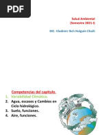 Salud Ambiental (Semestre 2021-I) : MC. Vladimir Ilich Holguín Chañi