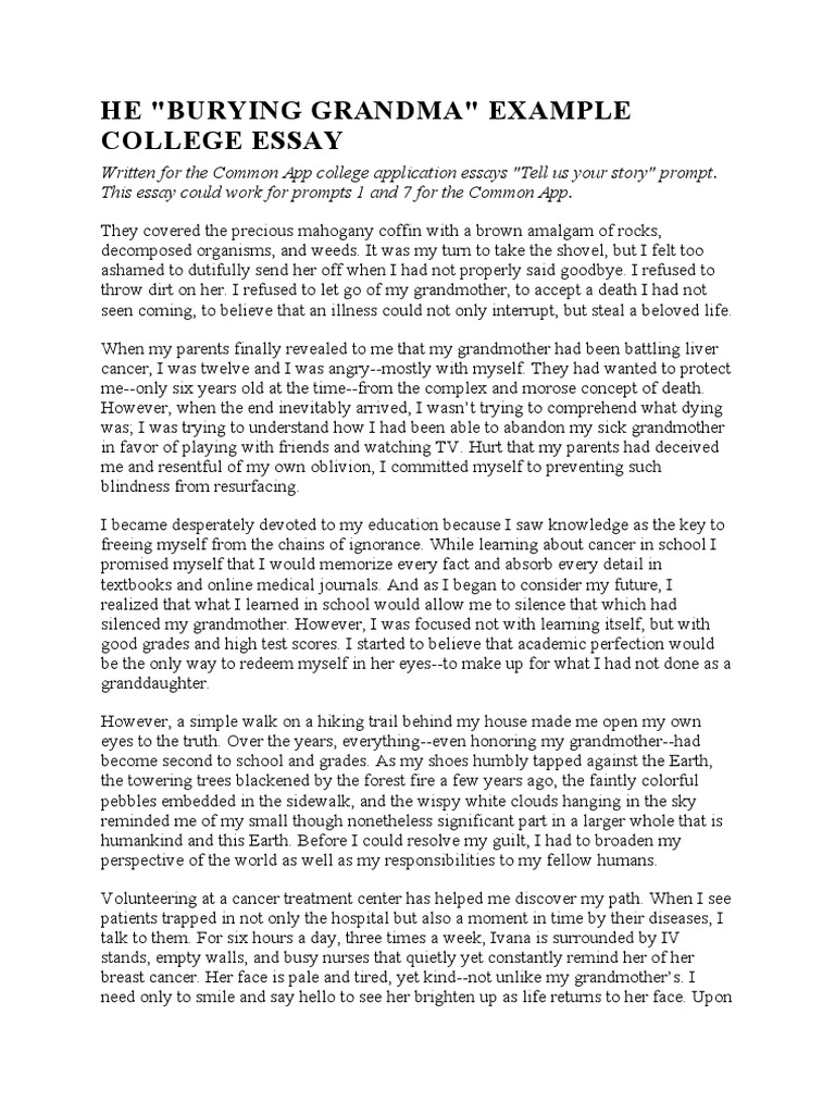 College Essay Example 2 | PDF