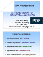 Intro To Neurotransmission - To View